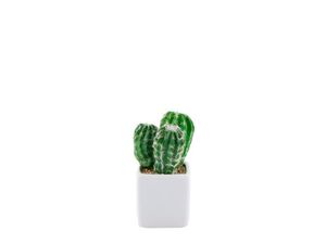 Adorno Cactus Rubber 13cm