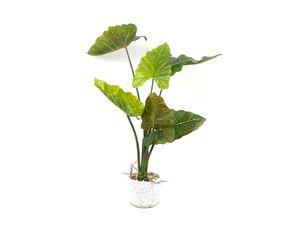 Planta Decorativa Artificial 70cm